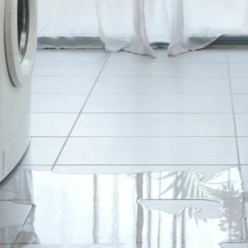 Appliance Leak Cleanup in Makawao, HI